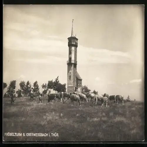 AK Oberweissbach i. Thür., Fröbelturm mit Kühen