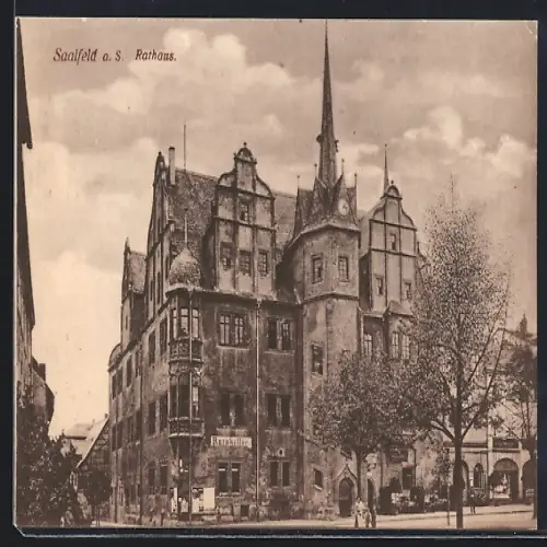 AK Saalfeld a. S., Rathaus mit Gasthaus Ratskeller