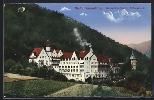 AK Bad Blankenburg, Wald-Sanatorium Schwarzeck