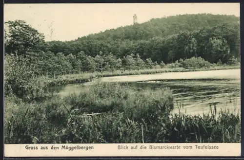 AK Berlin-Köpenick, Müggelberge, Blick auf die Bismarckwarte vom Teufelssee