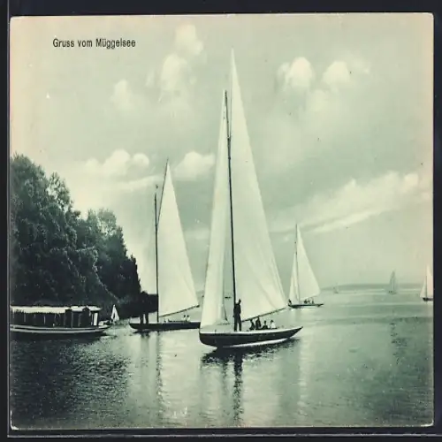 AK Berlin-Köpenick, Müggelsee mit Segelbooten