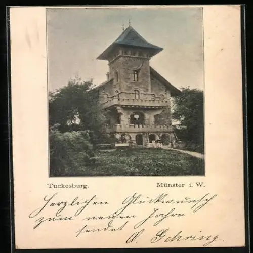 AK Münster i. W., Tuckesburg