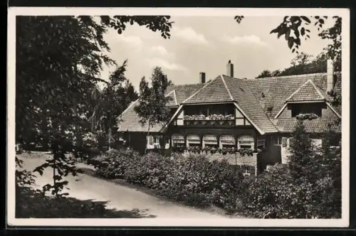 AK Bad Harzburg /Harz, Waldsiedlung Wolfsklippen