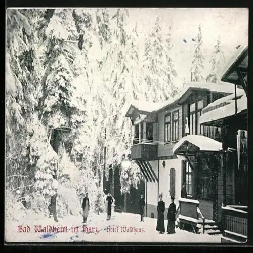 AK Bad Waldheim im Harz, Hotel Waldhaus