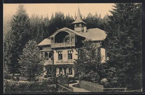 AK Bärenburg i. sächs. Erzgebirge, Vorderansicht vom Julius-Alexander-Haus