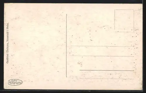 AK Neustadt i. Holst., Jungfernstieg und Hafenausfahrt