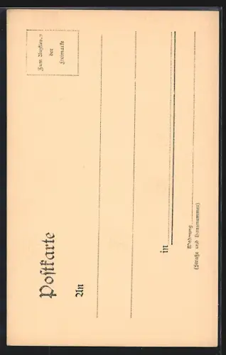 AK Nürnberg, Pellerhaus Frontseite
