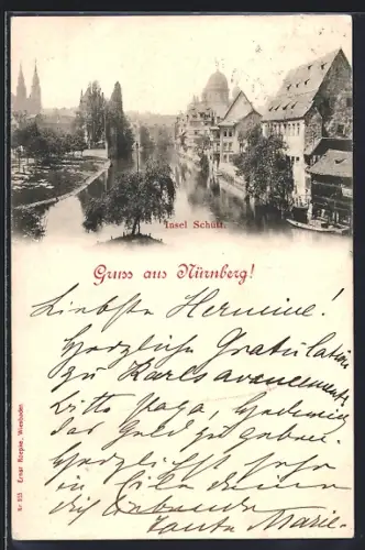 AK Nürnberg, Flusspartie mit Insel Schütt