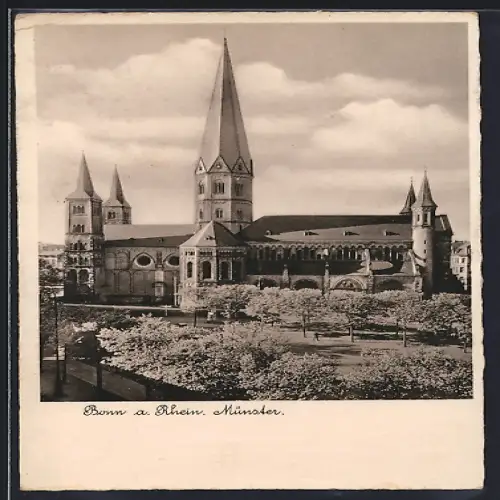 AK Bonn, Münster