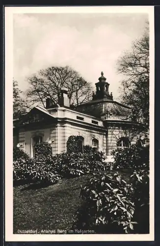 AK Düsseldorf, Ananas Berg im Hofgarten
