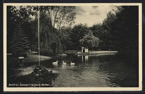 AK Bad Orb /Spessart, Kurpark, Weiher