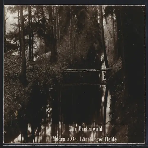 AK Müden / Örtze, Bauernwald, Uferpartie mit Brücke