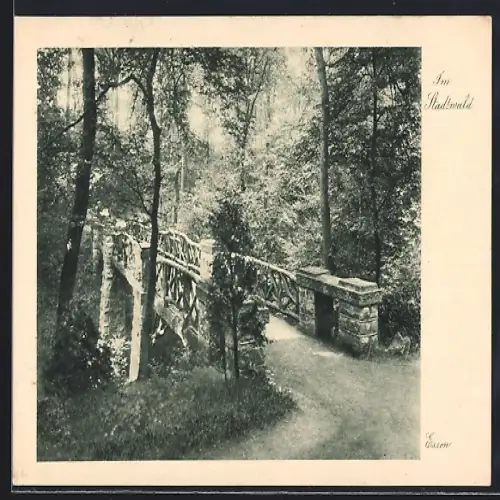 AK Essen / Ruhr, Im Stadtwald, Ortspartie mit Brücke