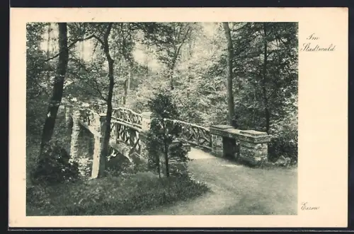 AK Essen / Ruhr, Im Stadtwald, Ortspartie mit Brücke