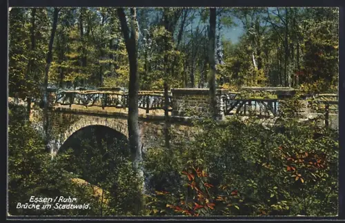 AK Essen /Ruhr, Brücke im Stadtwald