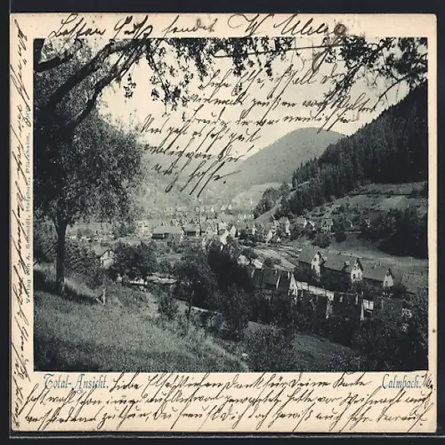 AK Calmbach, Total-Ansicht