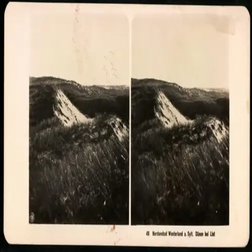 Stereo-Fotografie NPG, Ansicht Westerland, Dünen bei List