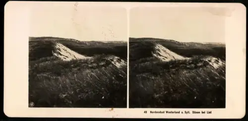 Stereo-Fotografie NPG, Ansicht Westerland, Dünen bei List