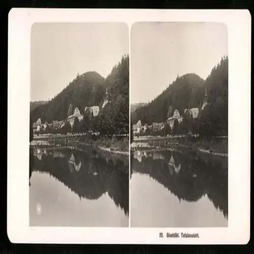 Stereo-Fotografie NPG, Ansicht Giesshübl, Totalansicht mit Seepartie