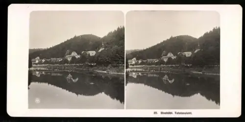 Stereo-Fotografie NPG, Ansicht Giesshübl, Totalansicht mit Seepartie