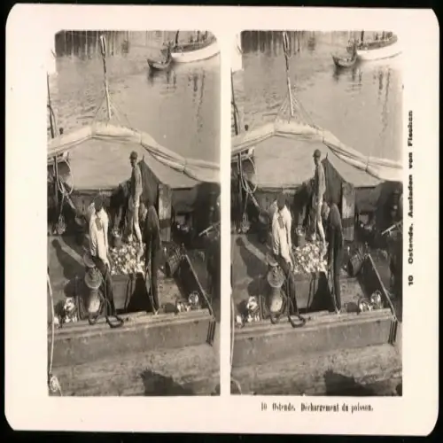 Stereo-Fotografie NPG, Ansicht Ostende, Dechargement du poisson, Fischer löschen ihre Fracht