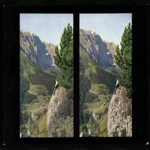 Stereo-Fotografie Chromoplast No. 29, Karer Pass, Blick zum Latemar
