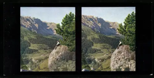 Stereo-Fotografie Chromoplast No. 29, Karer Pass, Blick zum Latemar