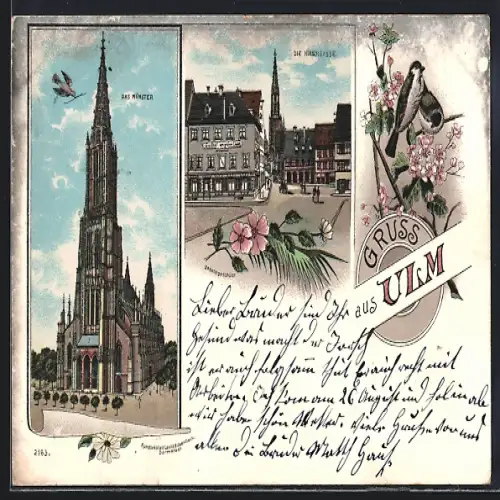 Lithographie Ulm / Donau, Münster, Hirschgasse
