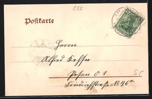 AK Reichenbach i. V., Rathaus mit Marktplatz