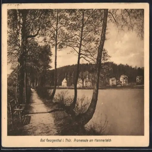AK Georgenthal / Thüringen, Promenade am Hammerteich