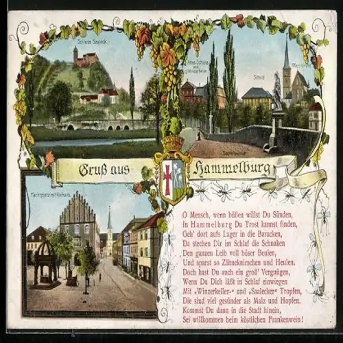 Lithographie Hammelburg, Panorama mit Schloss Saaleck, Altes Schloss mit Winzerkeller, Schule und Pfarrkirche