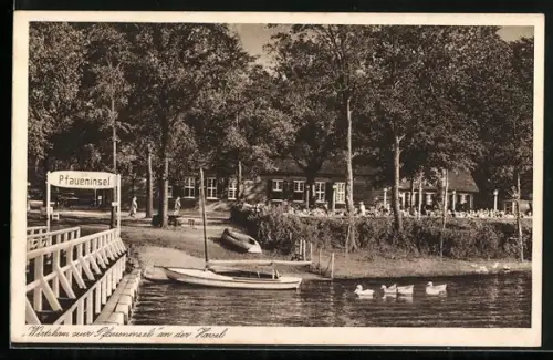 AK Berlin-Wannsee, Wirtshaus zur Pfaueninsel an der Havel