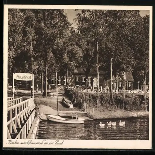 AK Berlin-Wannsee, Gasthaus zur Pfaueninsel an der Havel