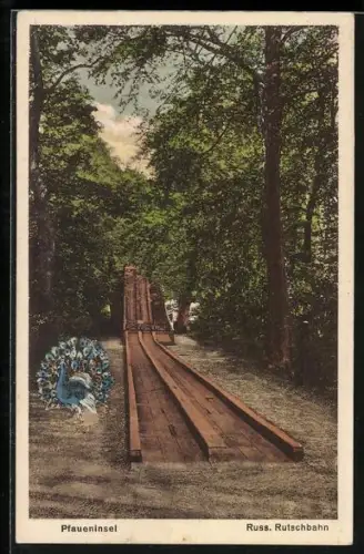 AK Berlin-Wannsee, Pfaueninsel, Russische Rutschbahn und Pfau, Volksfest