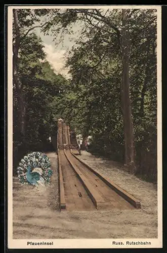 AK Berlin-Wannsee, Pfaueninsel, Russische Rutschbahn und Pfau, Volksfest