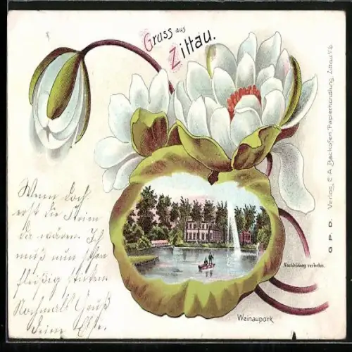 Passepartout-Lithographie Zittau, Weinaupark im Blütenblatt