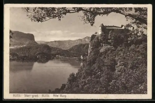 AK Bled, Alte Burg mit Gewässer und Bergpanorama