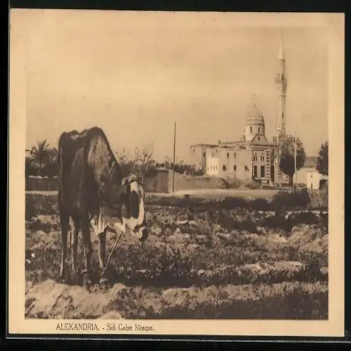 AK Alexandria, Sidi Gaber Mosque