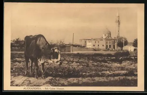 AK Alexandria, Sidi Gaber Mosque