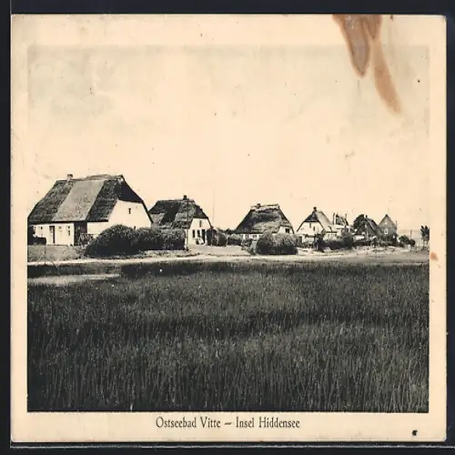 AK Vitte / Hiddensee, Ostseebad, Ortspartie