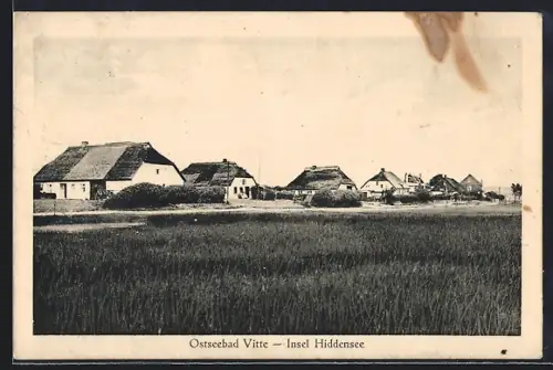AK Vitte / Hiddensee, Ostseebad, Ortspartie