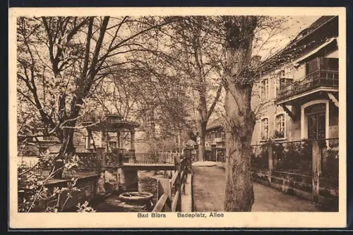 AK Bad Bibra, Badeplatz, Allee