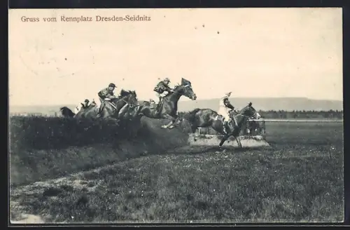 AK Dresden-Seidnitz, Rennplatz, Pferderennen mit Hindernissprung