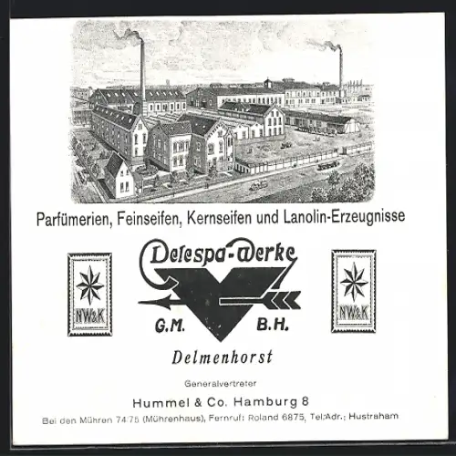 AK Delmenhorst, Delespa-Werke, Parfümerien, Feinseifen, Kernseifen, Lanolin-Erzeugnisse