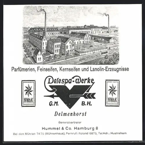 AK Delmenhorst, Delespa-Werke, Parfümerien, Feinseifen, Kernseifen, Lanolin-Erzeugnisse