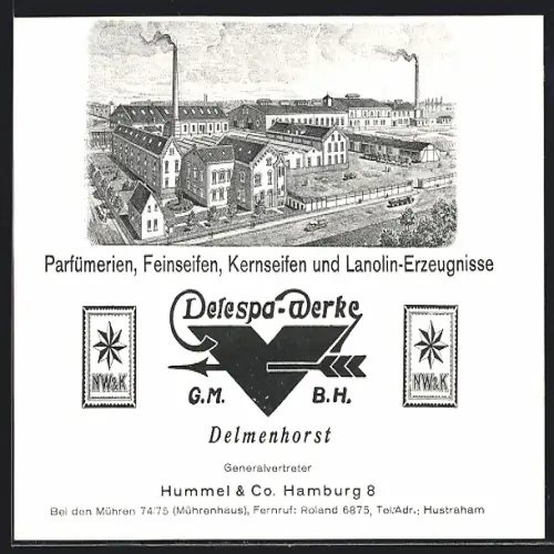 AK Delmenhorst, Delespa-Werke, Parfümerien, Feinseifen, Kernseifen, Lanolin-Erzeugnisse