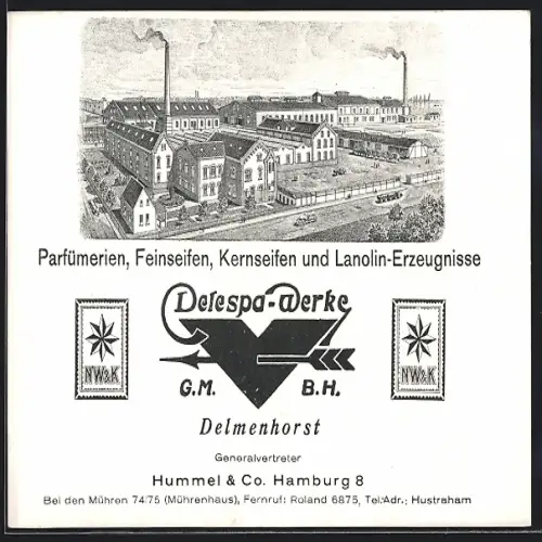 AK Delmenhorst, Delspa-Werke, Parfümerien, Feinseifen, Kernseifen