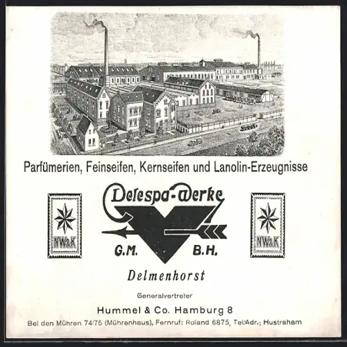 AK Delmenhorst, Defespa-Werke, Parfümerien, Feinseifen, Kernseifen