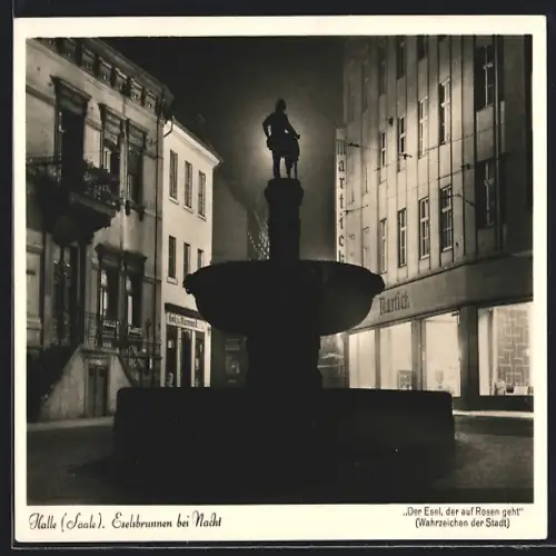 AK Halle /Saale, Eselsbrunnen bei Nacht