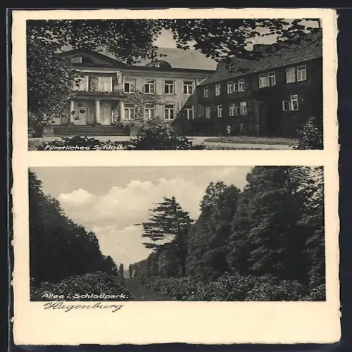 AK Hagenburg / Wunstorf, Fürstliches Schloss, Allee im Schlosspark